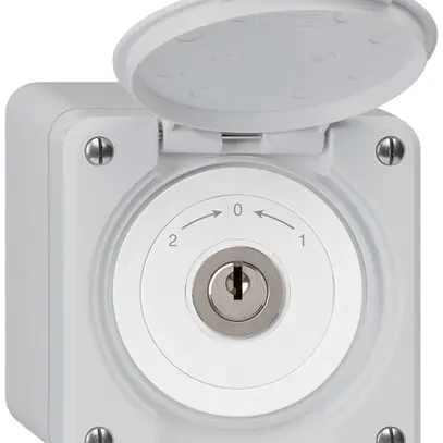 Contact pivotant à clé AP robusto IP55 gris avec clapet inverseur 