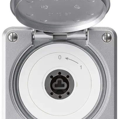 UP-Schlüsselschwenktaster robusto IP55 aluminium mit Deckel ohne Zylinder 2P 
