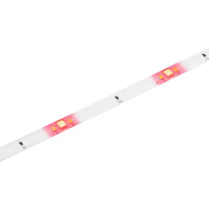 Fascia luminosa LED Sylvania SylStrip 220…240V 2.5W/m RGBW REG 2250mm 
