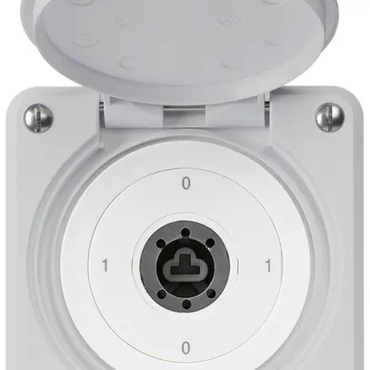 Interruttore a chiave INC robusto IP55 con copertura senza cilindro S0/1P grigio 