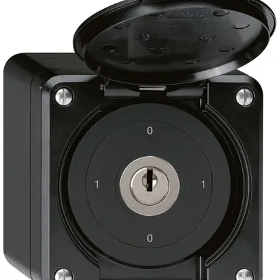 Interruttore a chiave AP robusto IP55 con copertura S0/2P nero 