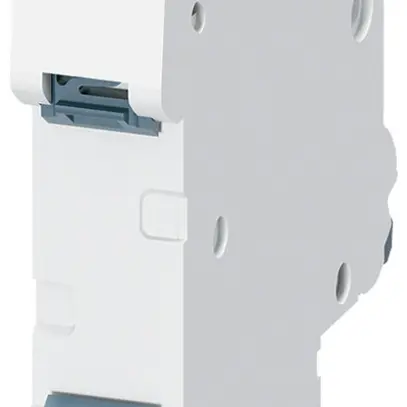 Disjoncteur Siemens SENTRON 5SL6 2P 230V C 13A 6kA 1UM 