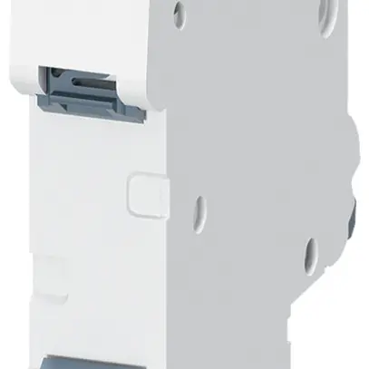 Disgiuntore Siemens SENTRON 5SL6 2P 230V C 20A 6kA 1UM 