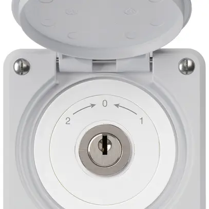 UP-Schlüsselschwenktaster robusto IP55 grau mit Deckel Wechsler 