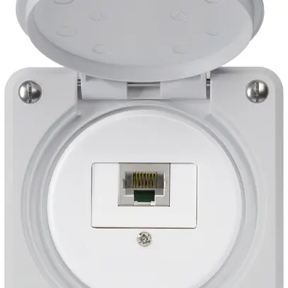 Scatola di raccordo INC robusto IP55 grigio 1×RJ45/s 