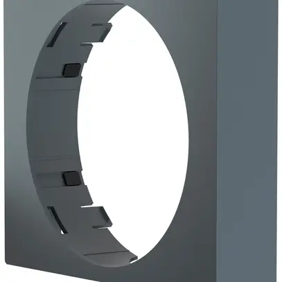 Telaio decorativo ABB Busch-Watchdog PRO antracite 