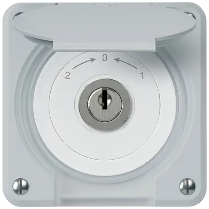UP-Schlüsselschwenktaster robusto IP55 grau mit Deckel Wechsler 