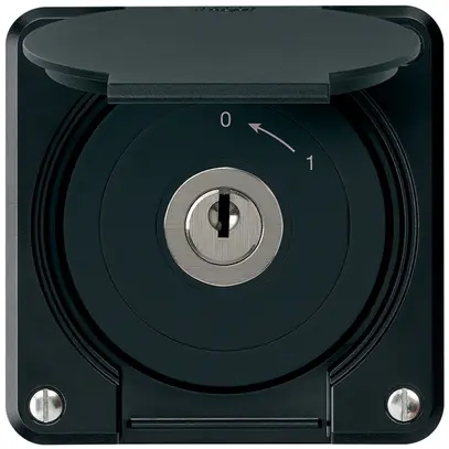 Contact pivotant à clé ENC robusto IP55 noir avec clapet 2P 