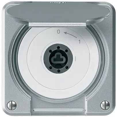 UP-Schlüsselschwenktaster robusto IP55 aluminium mit Deckel ohne Zylinder 2P 