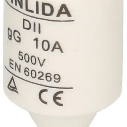 Fusibile D MAX HAURI DT-II 10A rosso 500V ritardo 50 KA gG Ø21×48mm 5 pezzi 