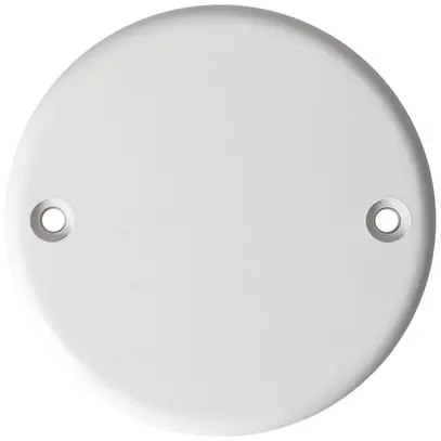 Rosace MAX HAURI GDP 850°C Ø79.2×21mm blanc 